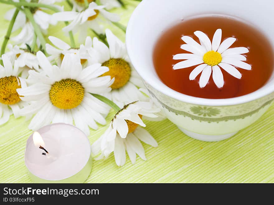 Camomile in tasse in white background