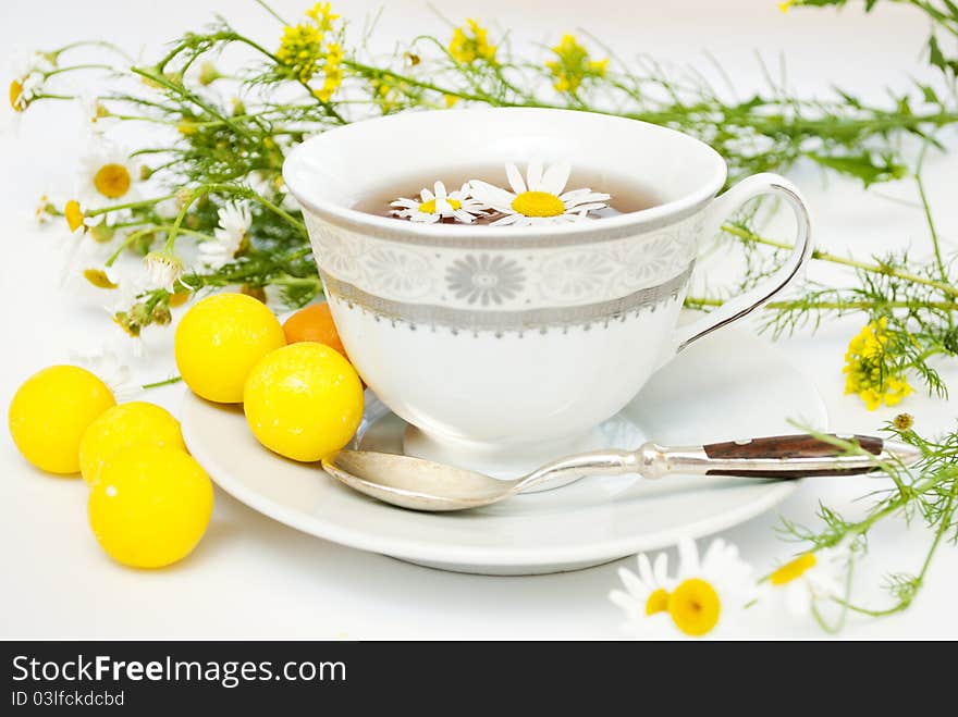 Camomile in tasse in white background