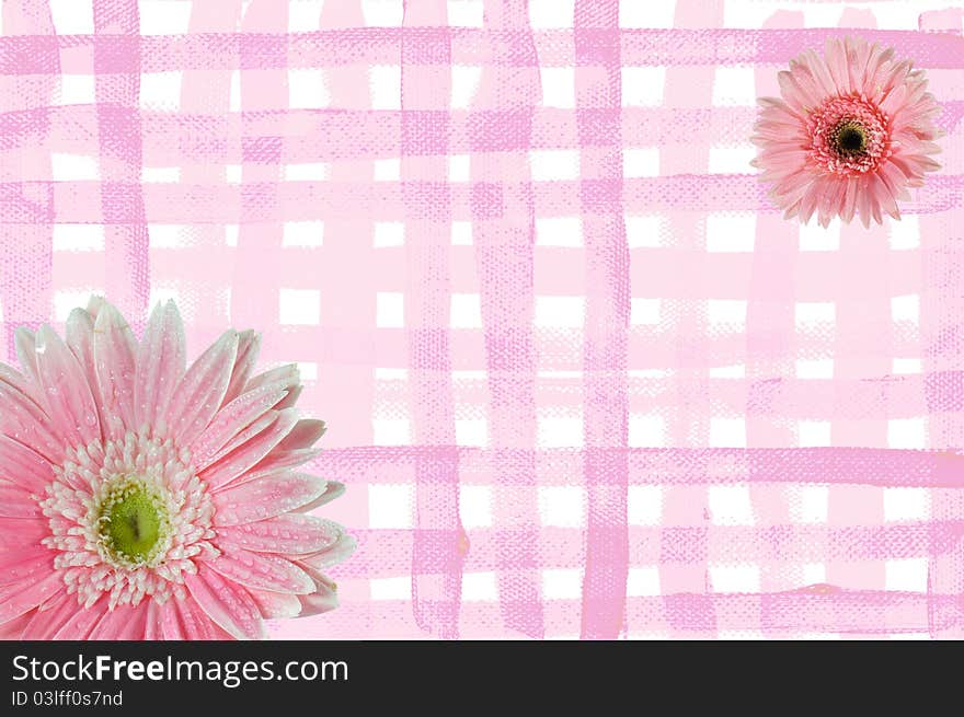 Pink flowers on painting frames. Pink flowers on painting frames