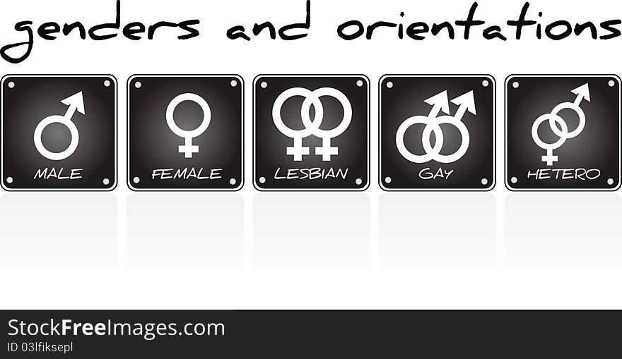 Genders and orientations