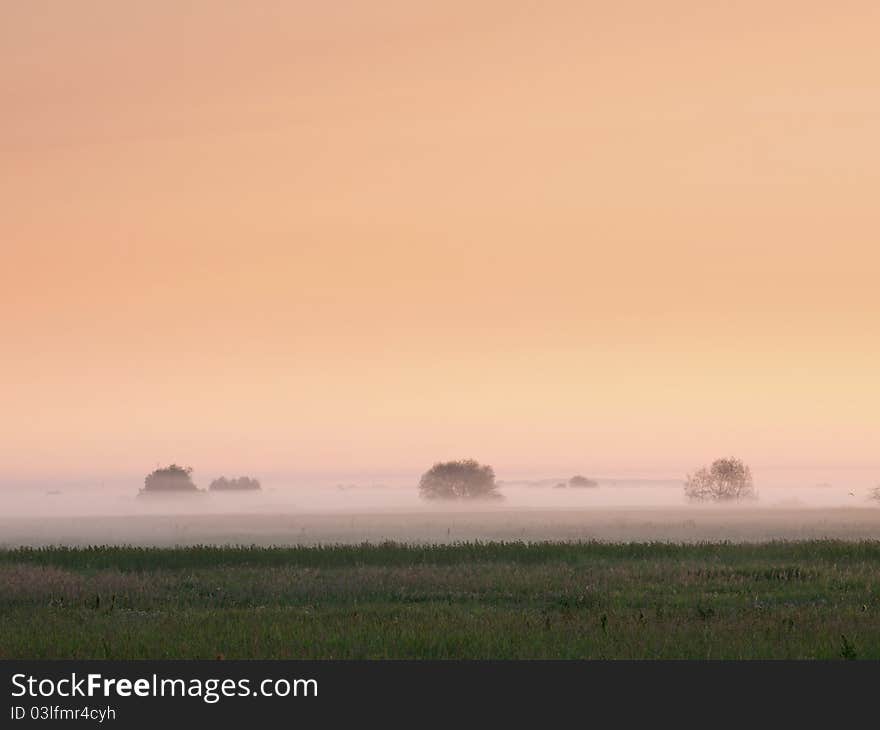 Fog over fields on sunrise. View from above. Fog over fields on sunrise. View from above