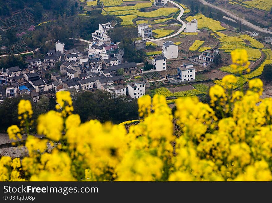 Chinese rural landscape: village at the foot of mountain with oilseed flowers as foreground.