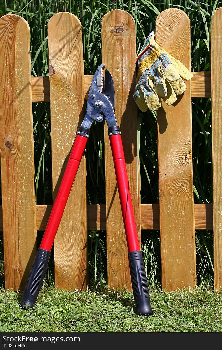 Branch cutter and gloves