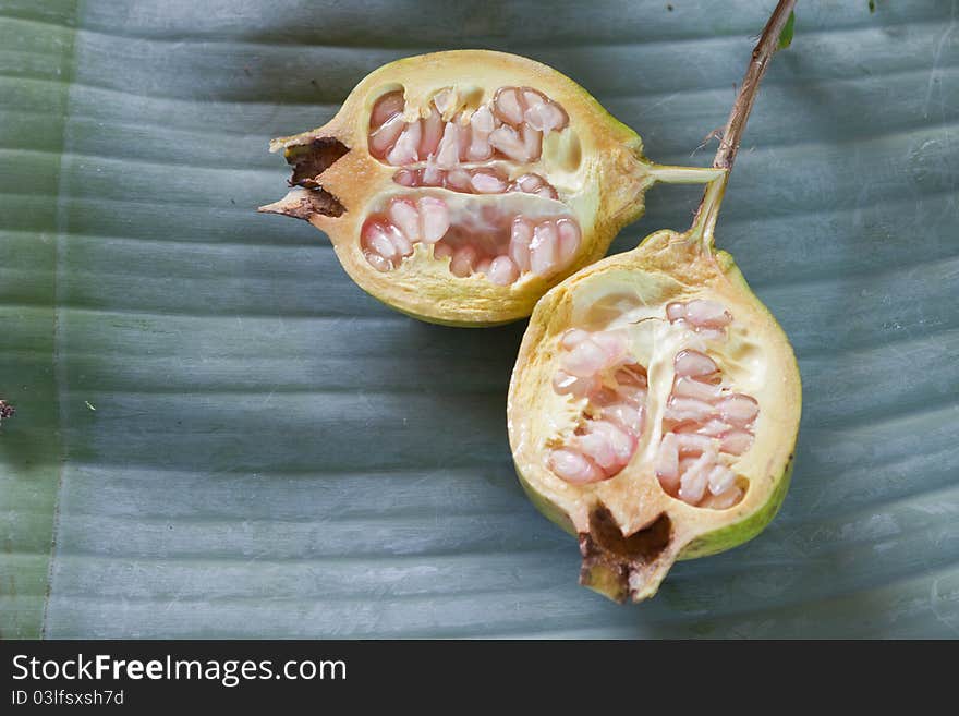 Punica Pomegranate Ancient  On the leaves. Banana