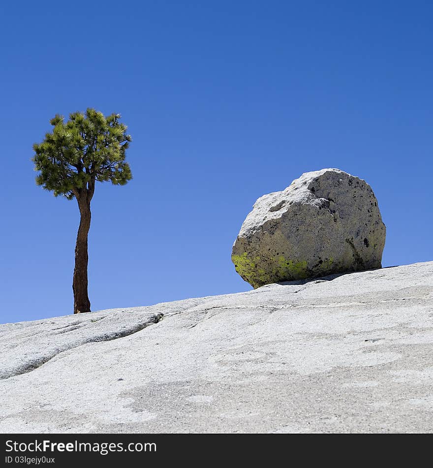 View of a lone tree and a large boulder on a blue sky background. View of a lone tree and a large boulder on a blue sky background.