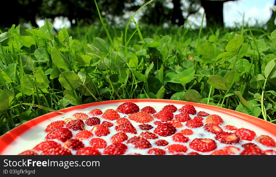 Plate of strawberry