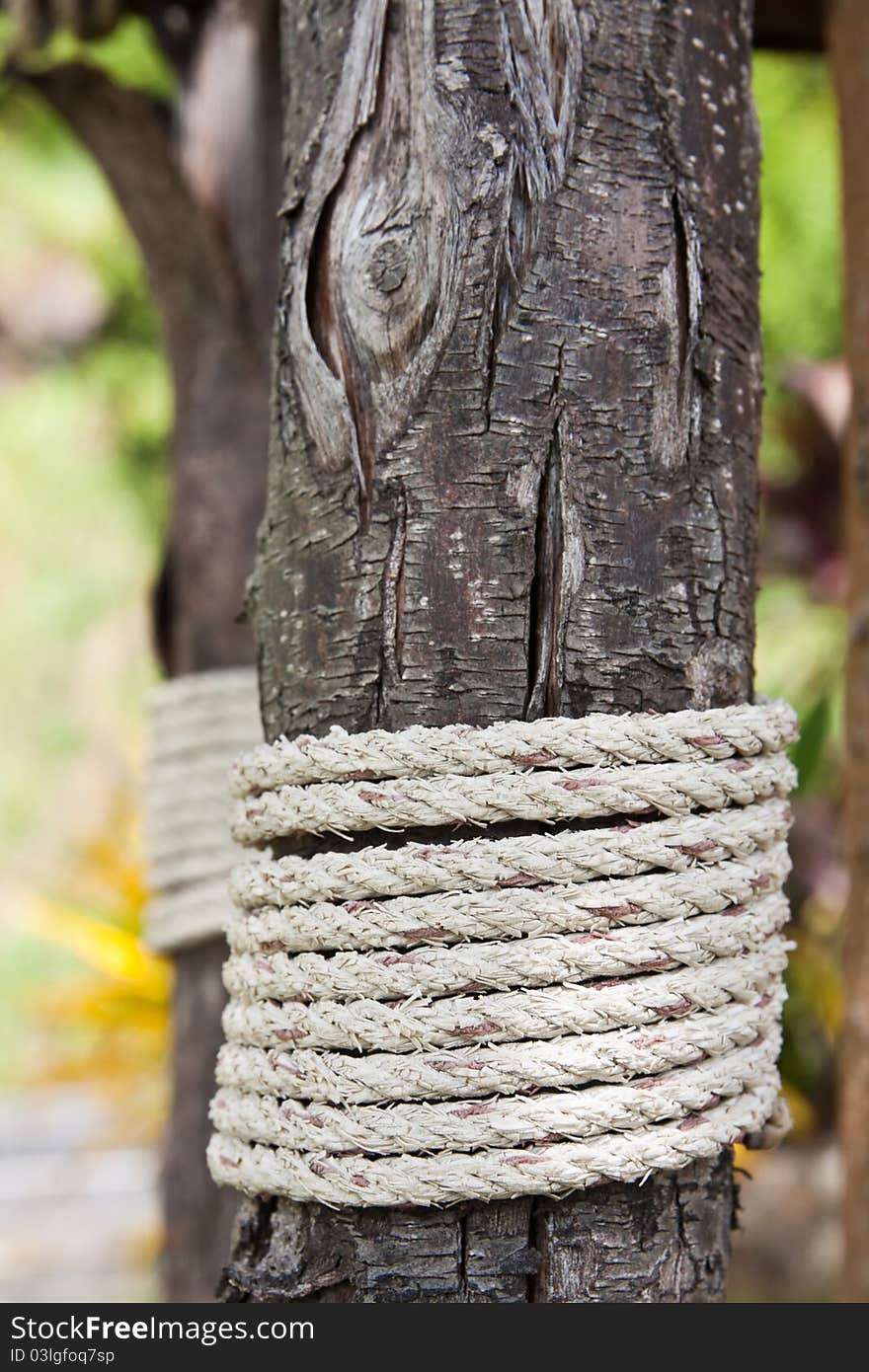 Texture of tight rope on wood. Texture of tight rope on wood