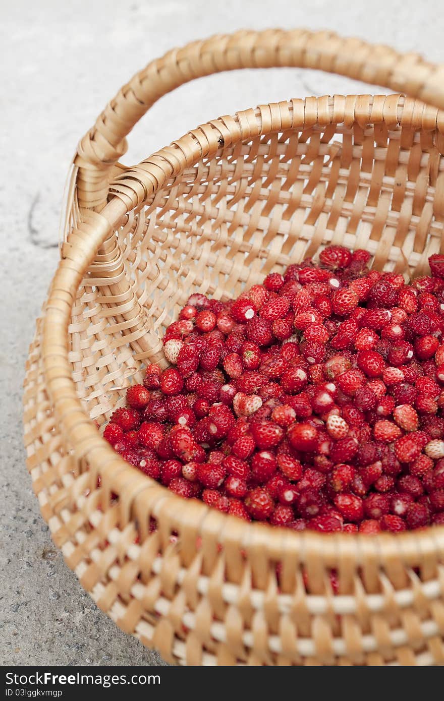 Wild strawberry in a basket. Wild strawberry in a basket