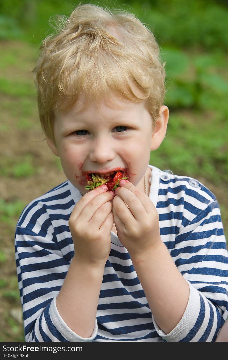 Portrait of a young child who eats red strawberries. Portrait of a young child who eats red strawberries