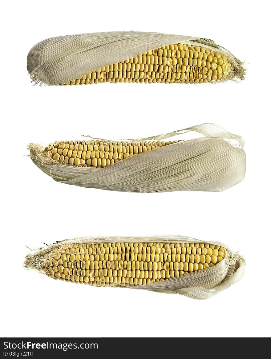 Three cobs of corn isolated on white.  Which cob represents a full sized photograph