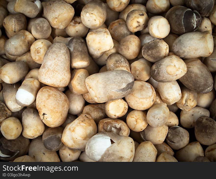 Mushrooms in the market