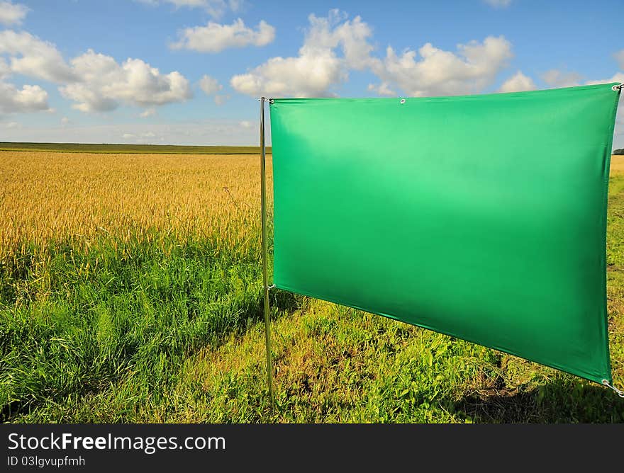 Wheat field on a background of blue sky