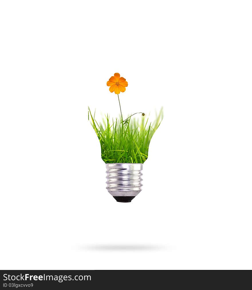 Light bulb with beautiful flower and grass inside. Light bulb with beautiful flower and grass inside