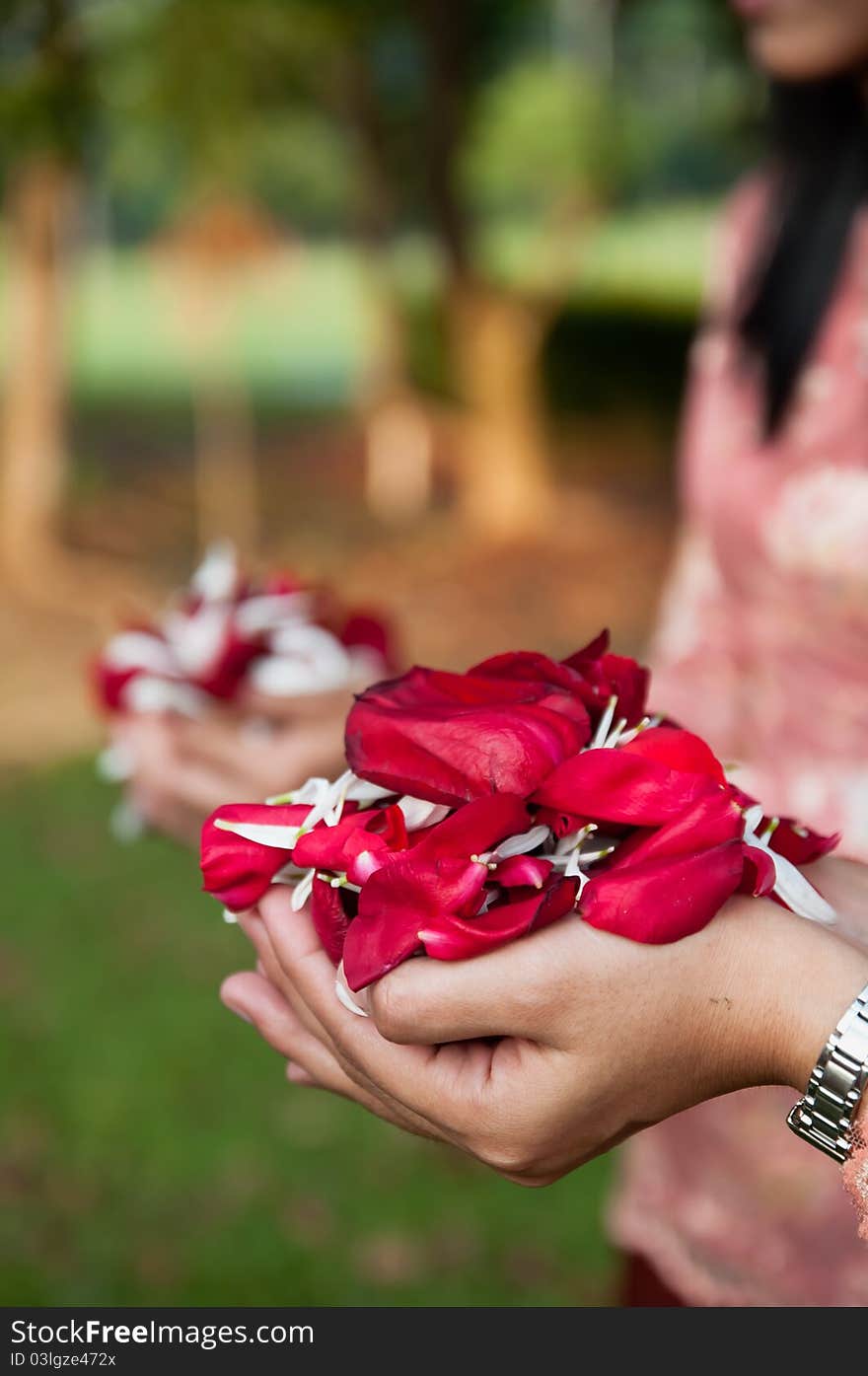 Petals of Flowers in Hands