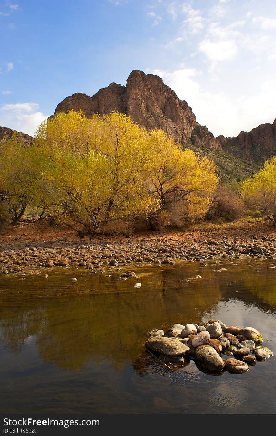 Peaceful River with Beautiful Yellow Tree