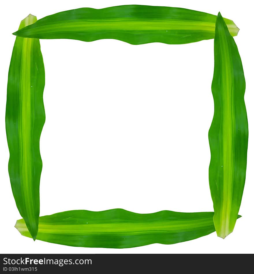 Green Leaves Frame