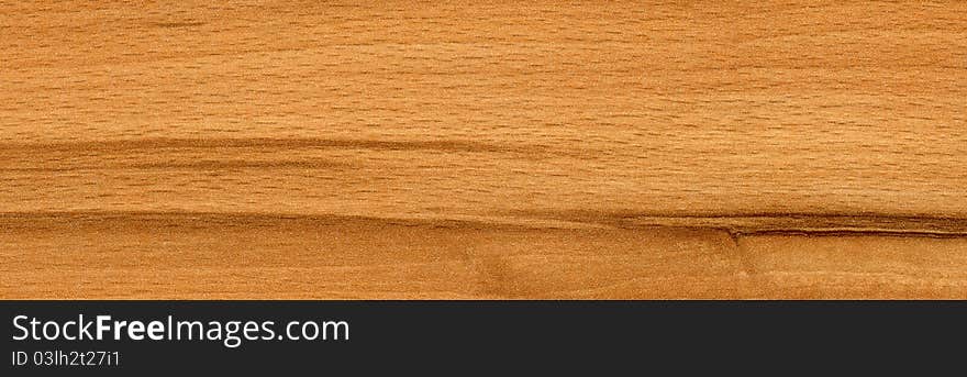 Beech wood texture horizontal background