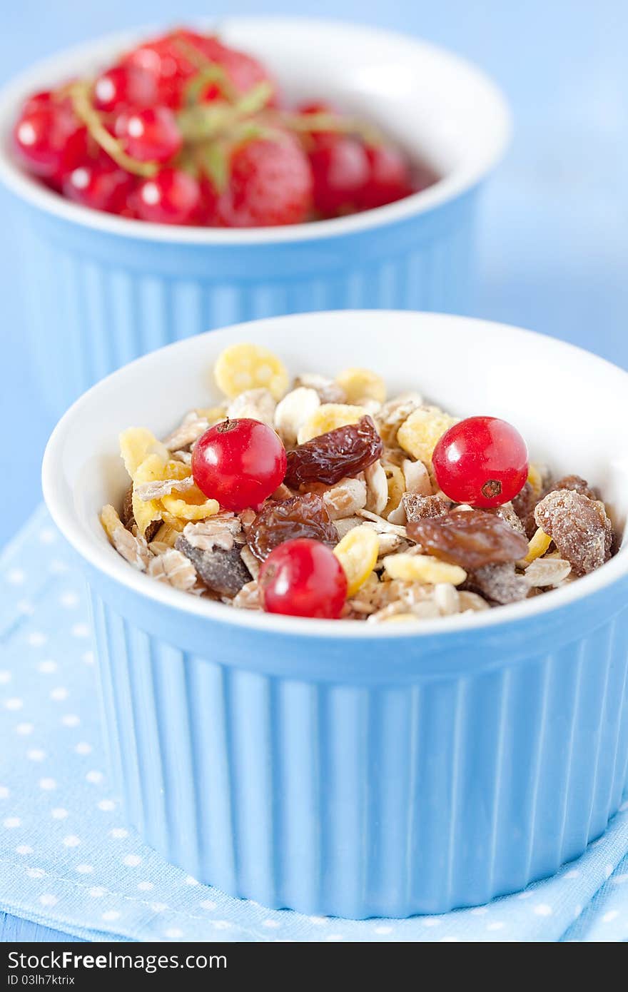 Muesli with raisin and redcurrants. Muesli with raisin and redcurrants