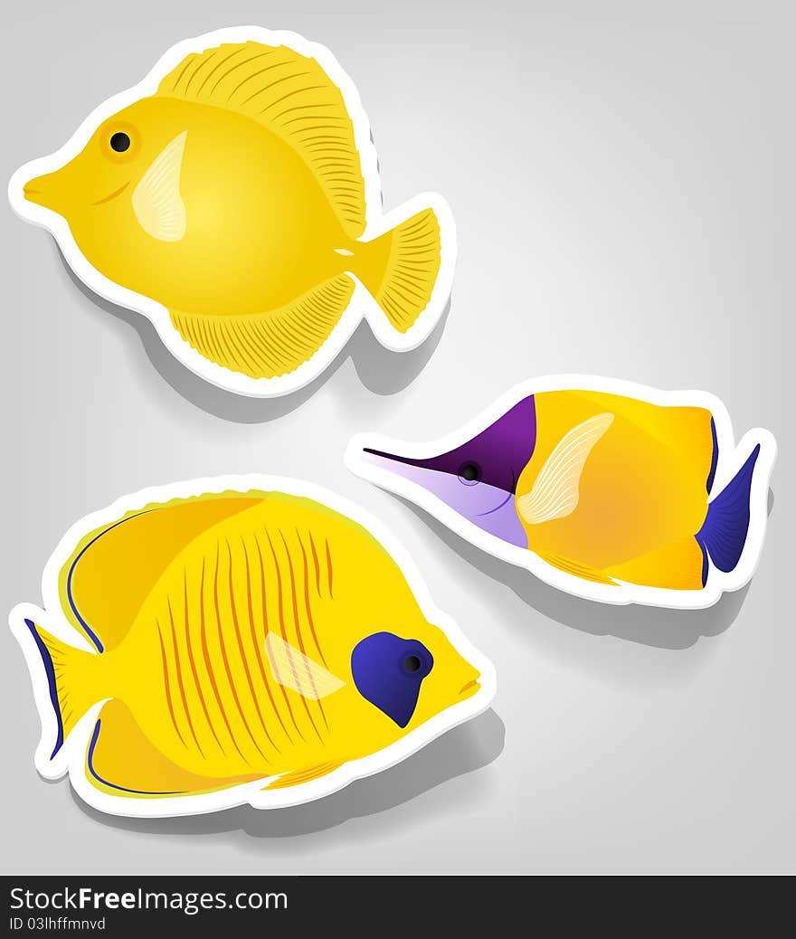 A set of tropical fish for advertising diving. A set of tropical fish for advertising diving