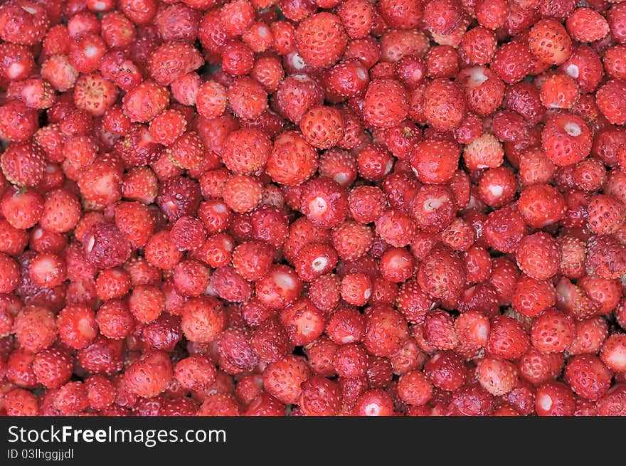 Strawberries. Forest red berries. The texture of wild strawberries. Scattering of ripe berries. Useful forest products. Harvested by hand. Strawberries. Forest red berries. The texture of wild strawberries. Scattering of ripe berries. Useful forest products. Harvested by hand.