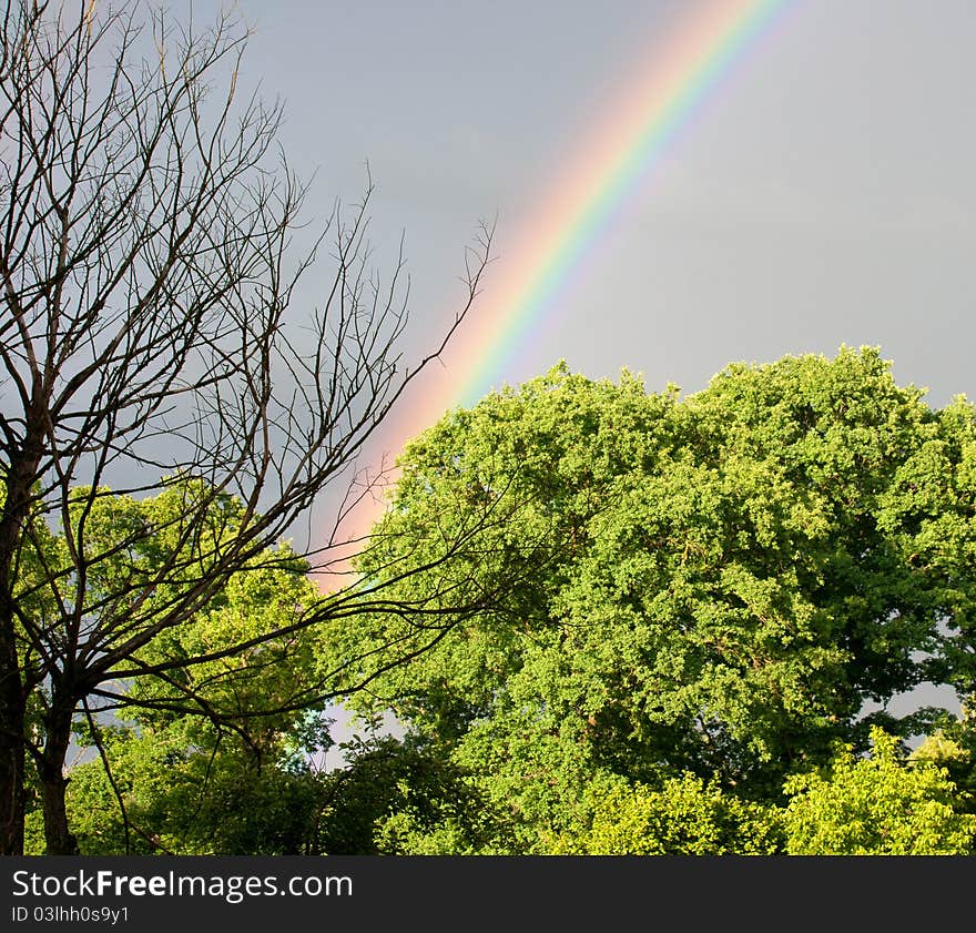 Bright beautiful rainbow in the sky after storm. Bright beautiful rainbow in the sky after storm