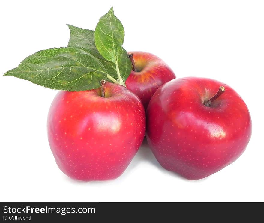 Apples are shown in the picture. Apples are shown in the picture.