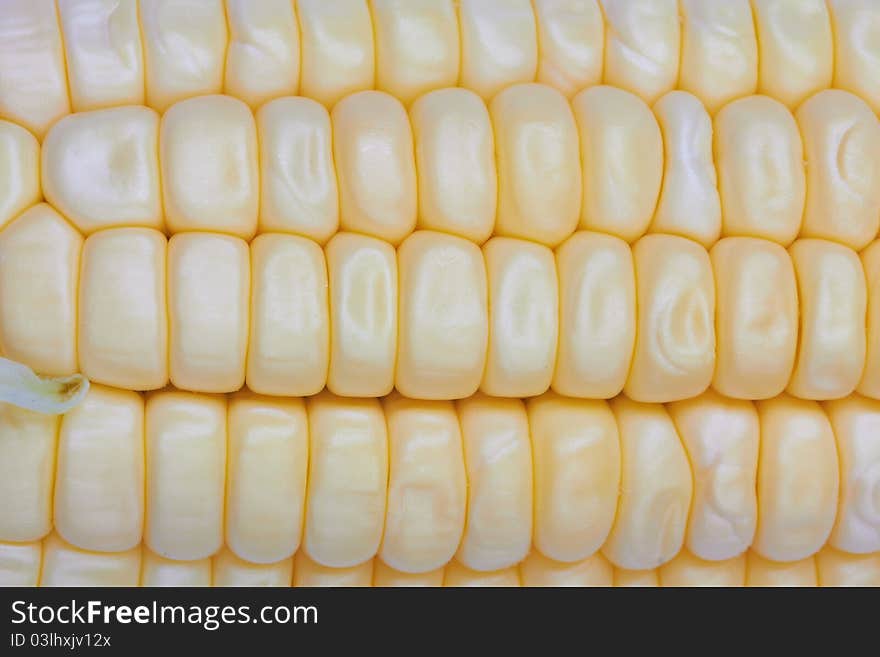 Fresh corn vegetable with green leaves closeup