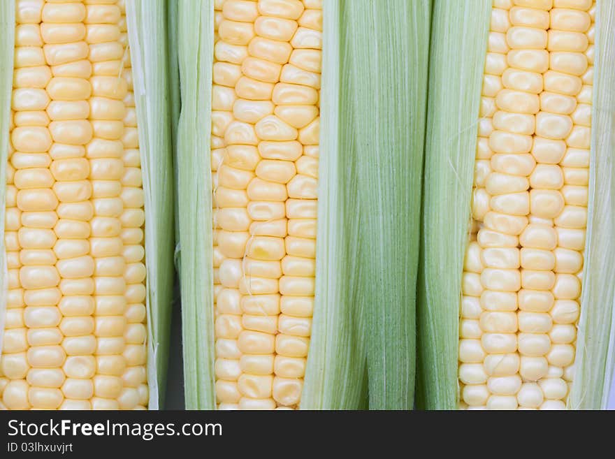 Fresh corn vegetable with green leaves closeup