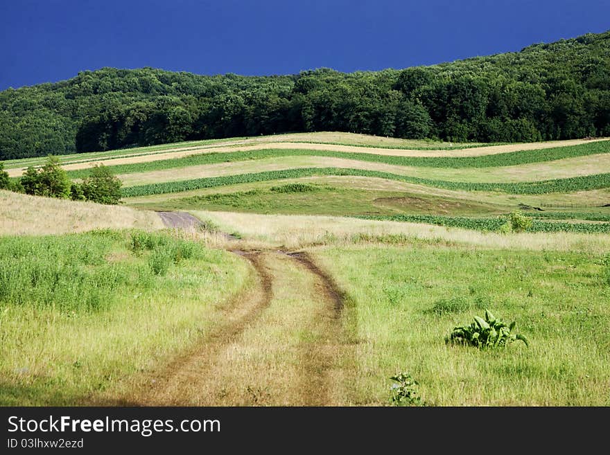 Field And Blue Sky