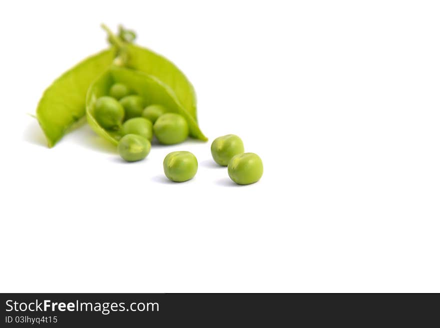 The pea