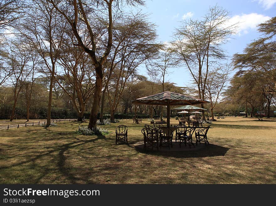 Lunch place when going for safari. Lunch place when going for safari