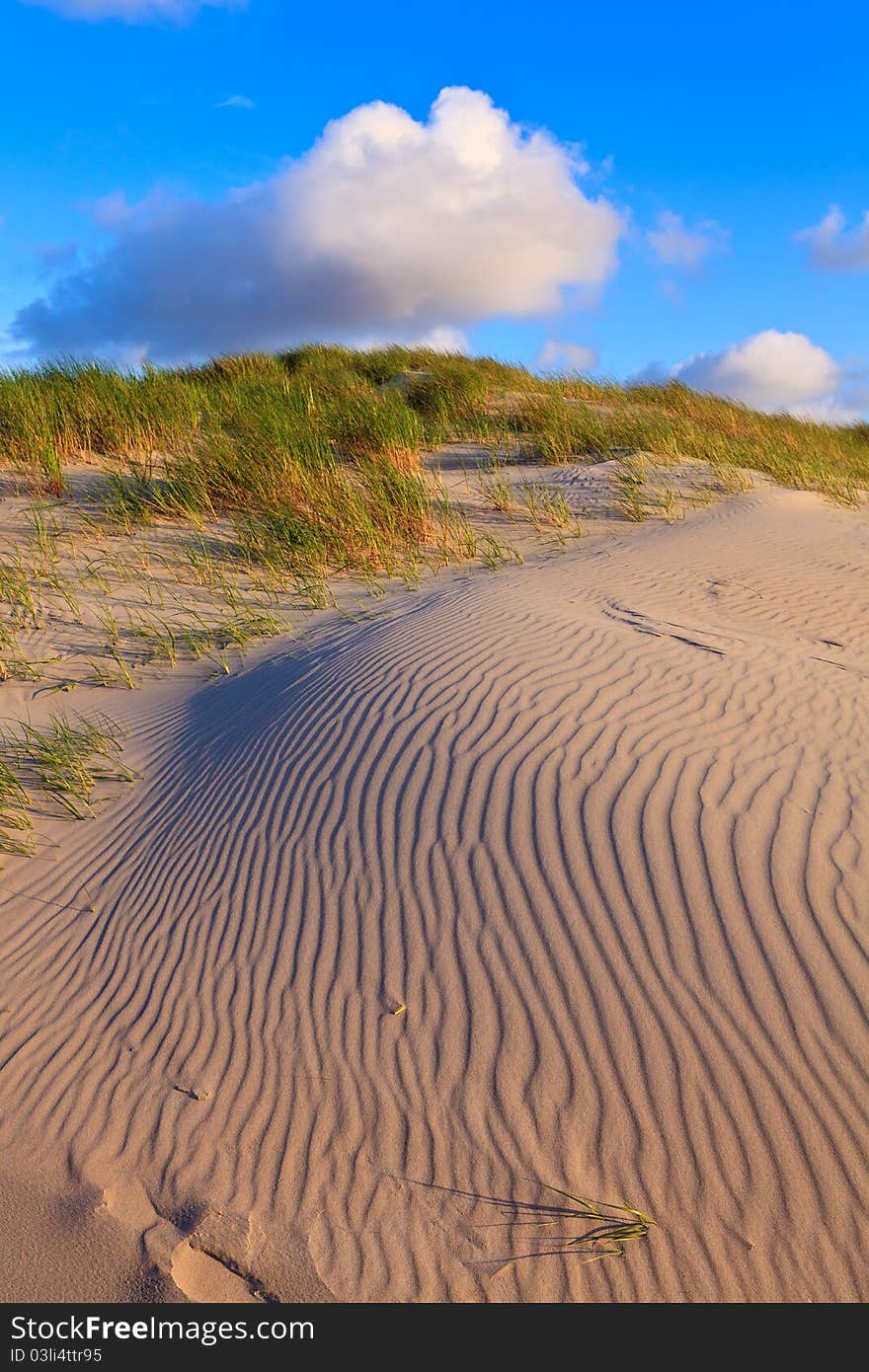 Sand dunes with helmet grass on the beach