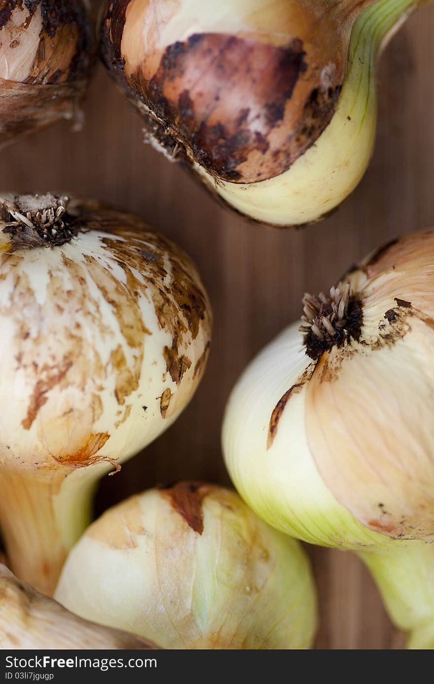 Group of Onions