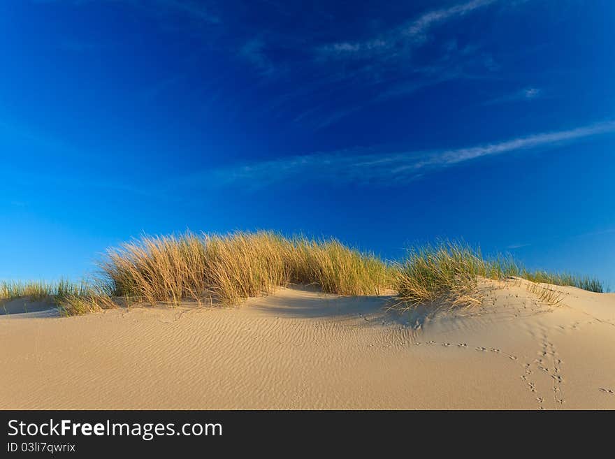 Sand dunes with helmet grass