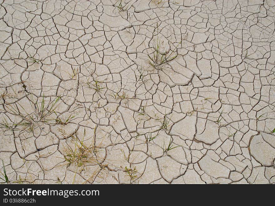 Dried Clay Texture