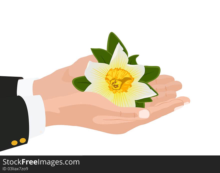 Person's hand holding a flower. Person's hand holding a flower.