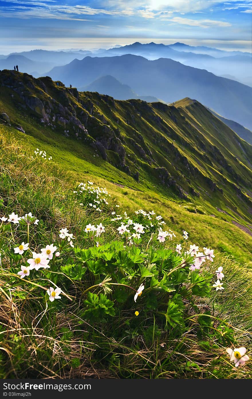 Mountain landscape