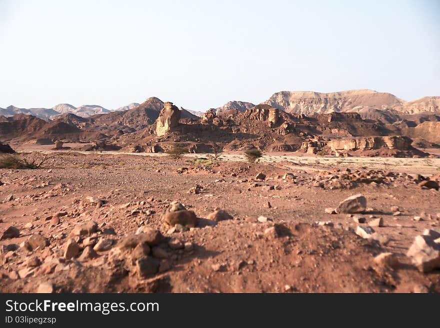 Travel in Arava desert