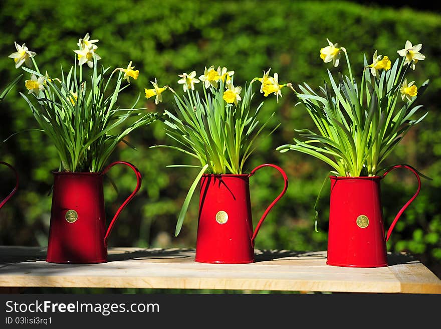 3 pots of flowers