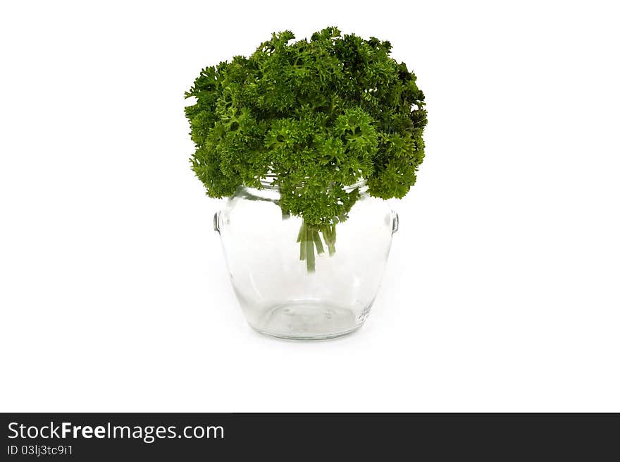 Bouquet of curly parsley in glass vase on white background. Bouquet of curly parsley in glass vase on white background