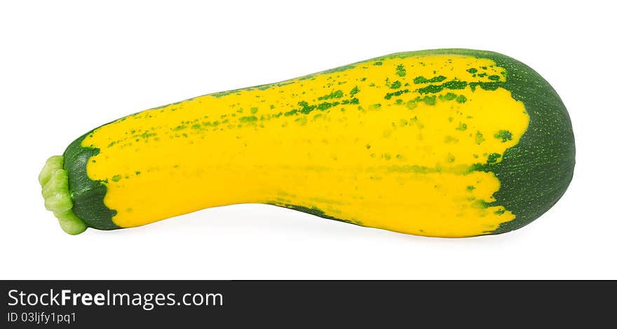 Colorful Squash