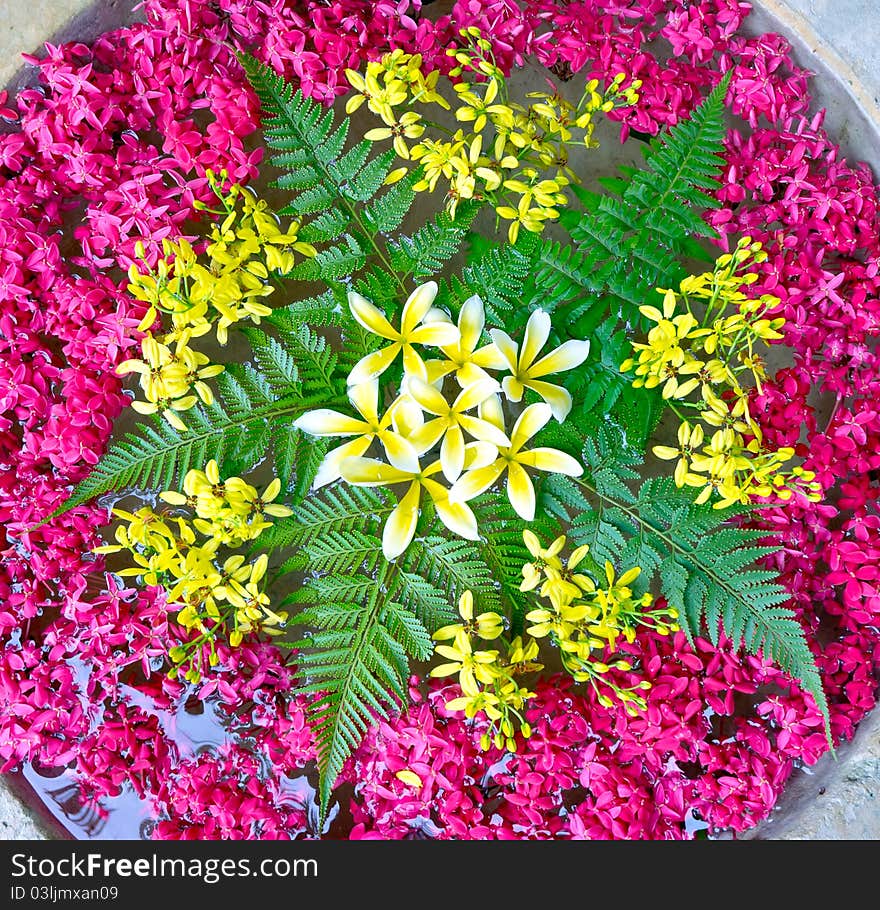 Flowers Decoration for Spa Concept