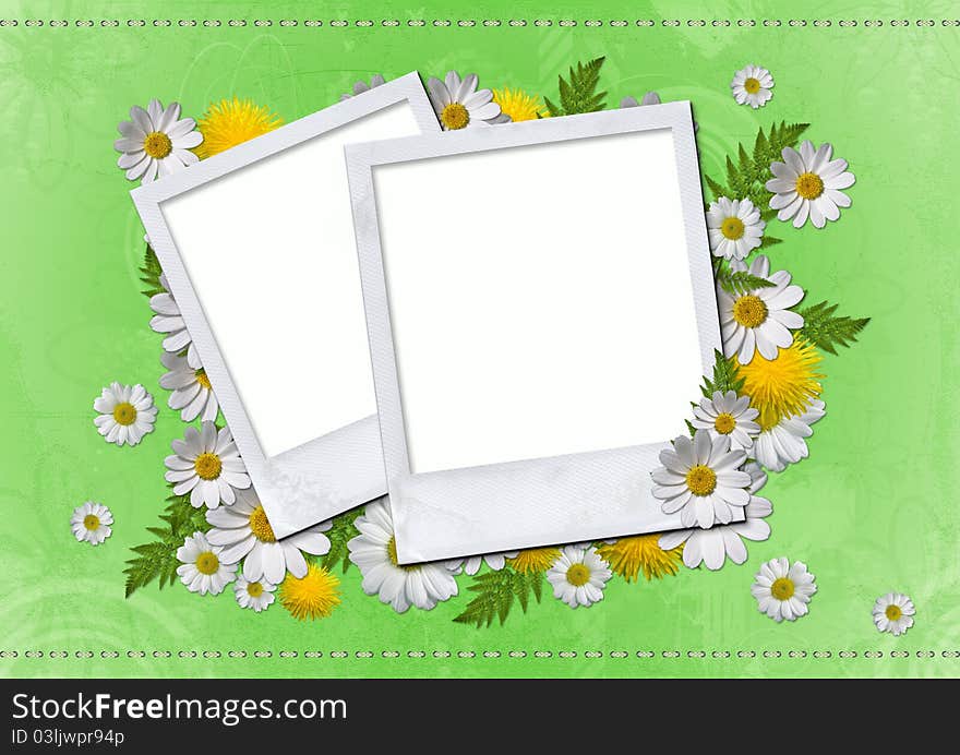 Daisy card on green background