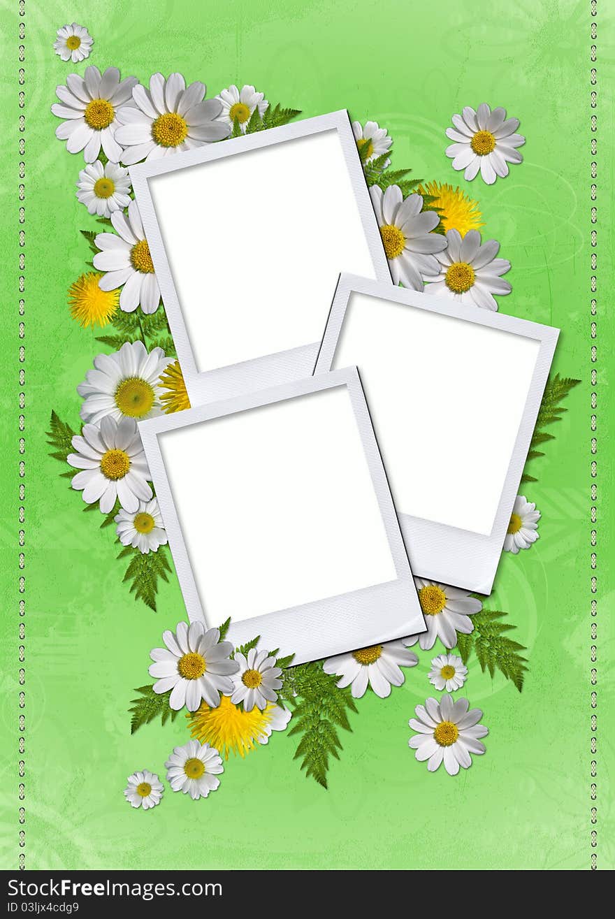 Daisy card on green background