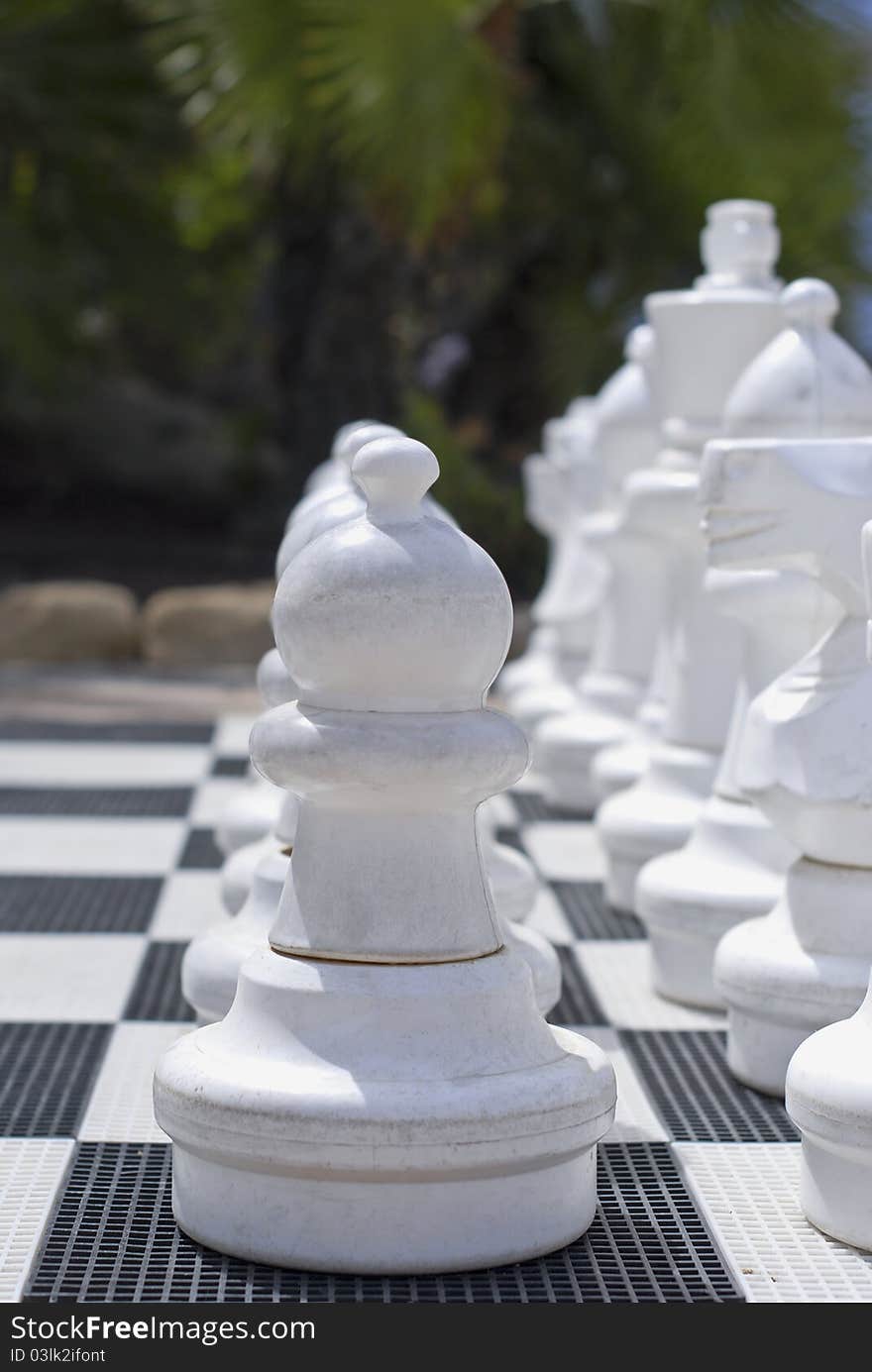 Chess set, row of pieces outside on the background of palms