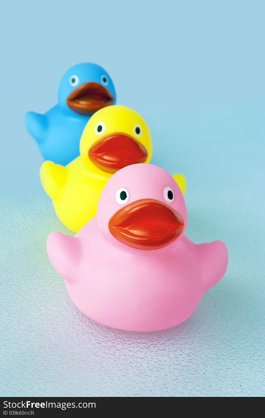 Bathtub rubber ducks