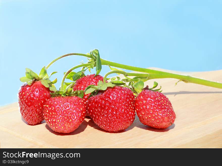 Sprig of fresh tasty strawberries on the blue sky background. Sprig of fresh tasty strawberries on the blue sky background