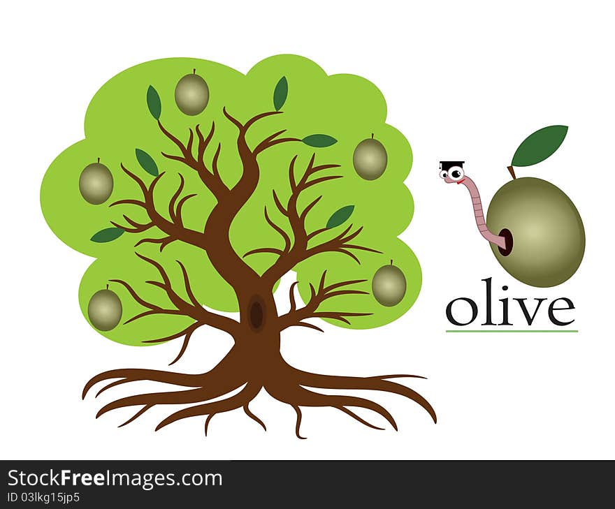 Oive tree , letters oive, isolated. Oive tree , letters oive, isolated