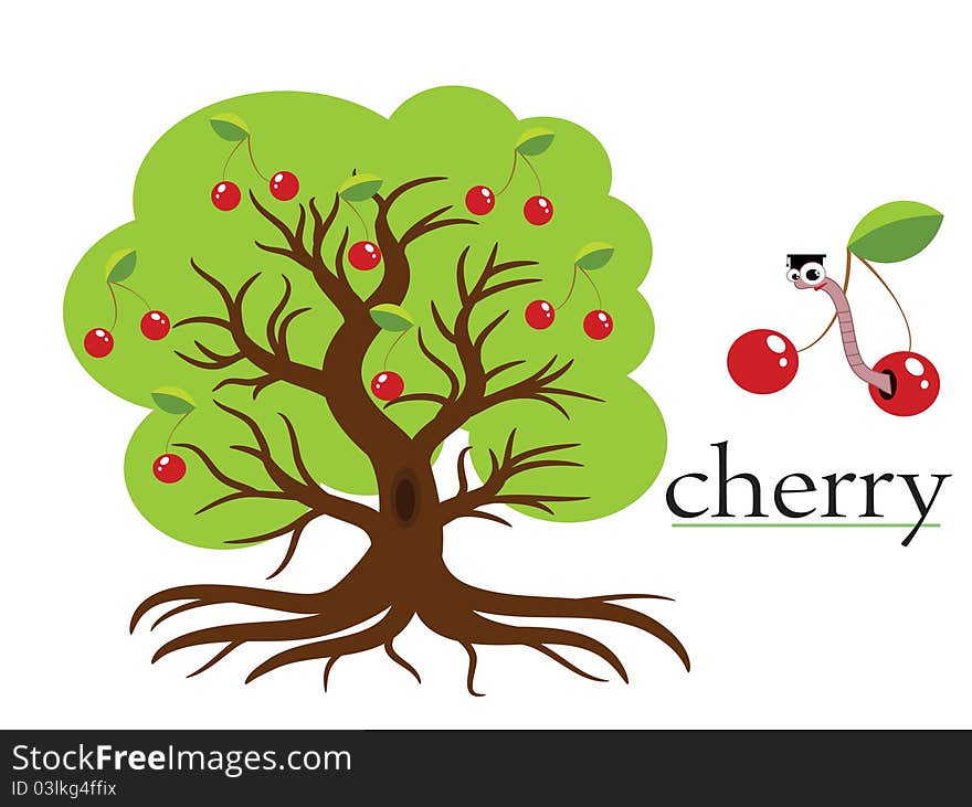 Cherry  tree