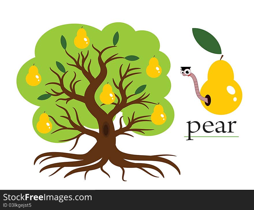 Pear  Tree